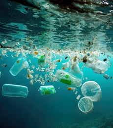Látky vo vode Latky_vo_vode_230x260